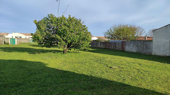 terrain à batir à Saint-Pierre-d'Oléron (17)