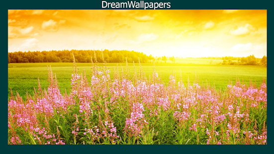 How to download Summer Wallpaper 2.6 unlimited apk for pc