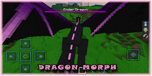 Screenshot Dragon Mod For Minecraft