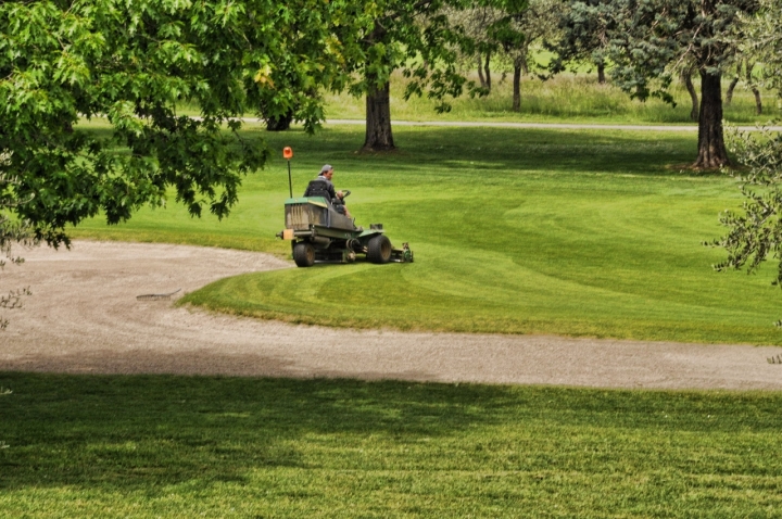 Sui campi da golf di dady2