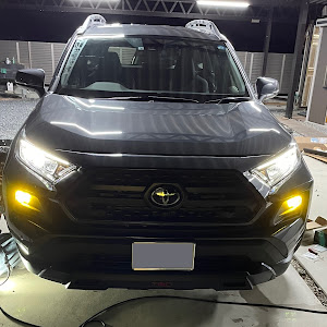 RAV4 MXAA54