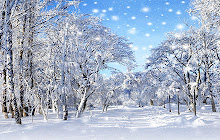 Winter Snow Wallpapers Winter Snow New Tab HD small promo image