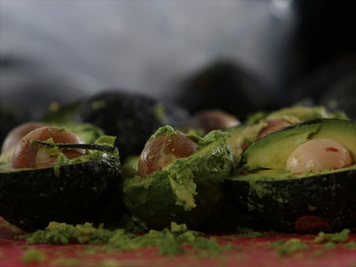 Avocados are pictured as volunteers from a culinary school attempt to set a new Guinness World Record for the largest serving of guacamole in Concepcion de Buenos Aires, Jalisco, Mexico September 3, 2017. /REUTERS