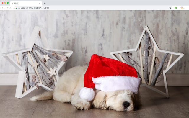 Christmas dog HD New tab Popular pets Theme