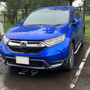 CR-V RW2