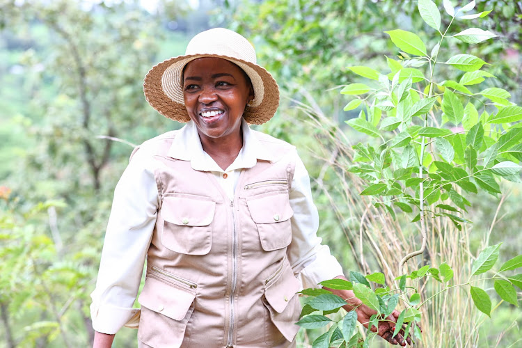 First Lady Mama Rachel Ruto during the national tree planting day at Kiambicho Forest Karua Hill A, Murang'a County, on May 10, 2024.