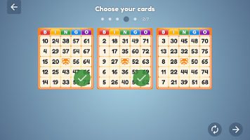 Bingo Set Screenshot