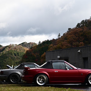 ロードスター NA6CE