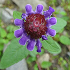 Self-heal