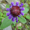 Self-heal