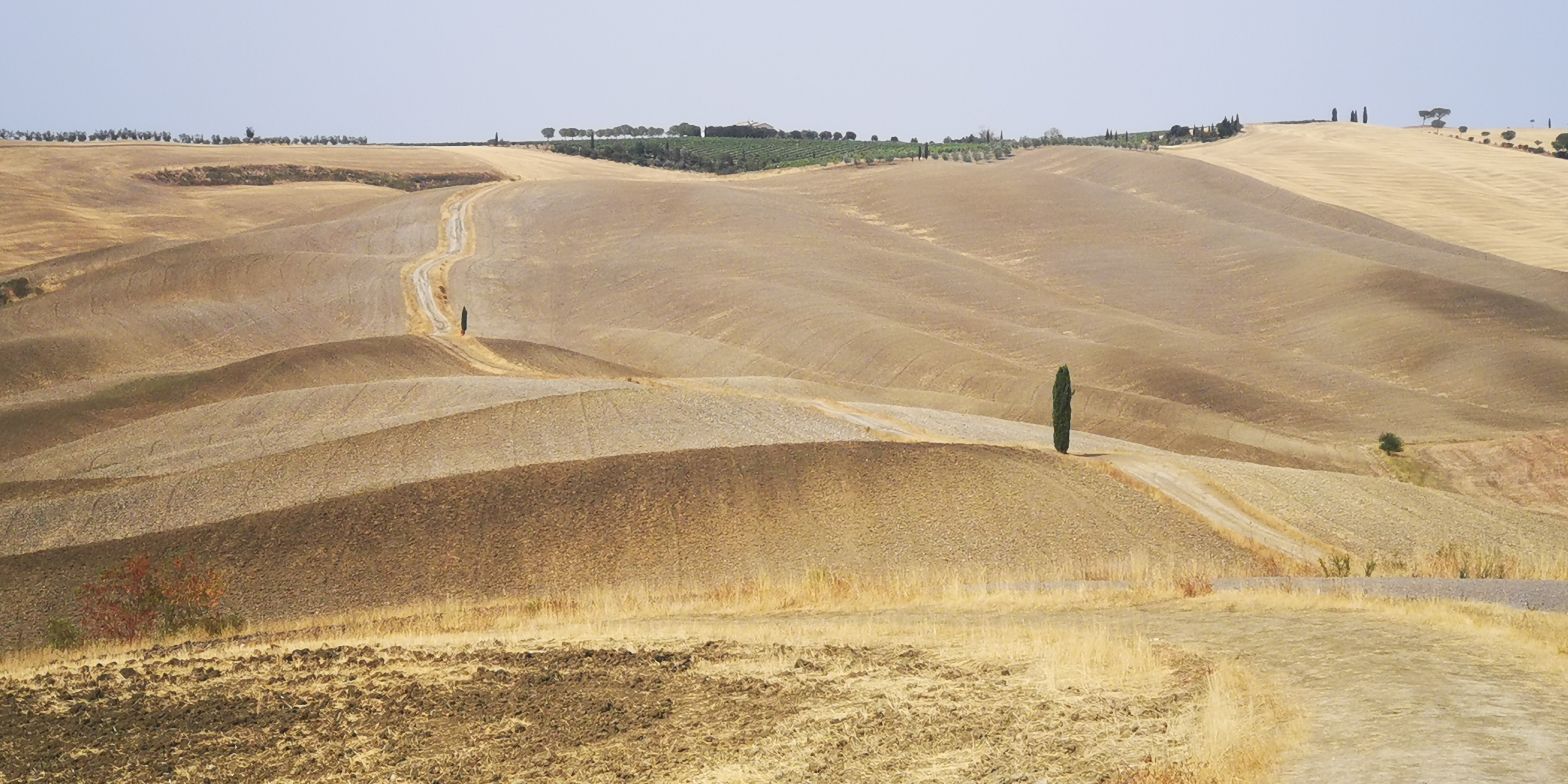 orizzonte estivo sulle crete senesi di Claudiator