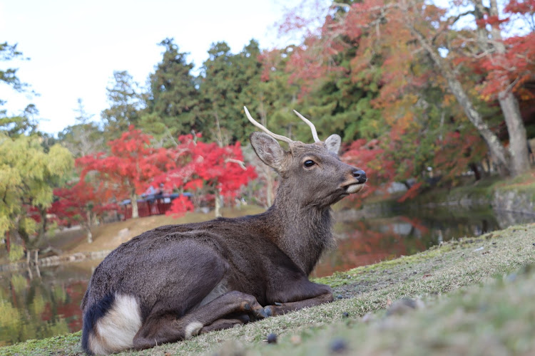 の投稿画像8枚目