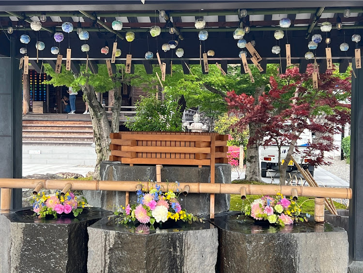 プリウスの６月も宜しくお願いします・紫陽花、風鈴まつりに関するカスタム事例の投稿画像2枚目