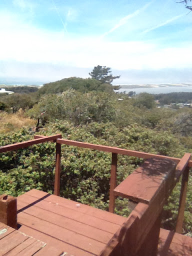 Treehouse Over the Bay