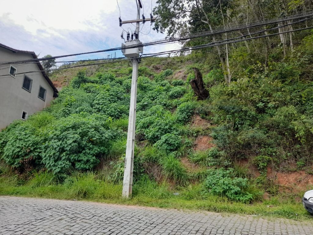 Terreno Residencial à venda em Pimenteiras, Teresópolis - RJ - Foto 3