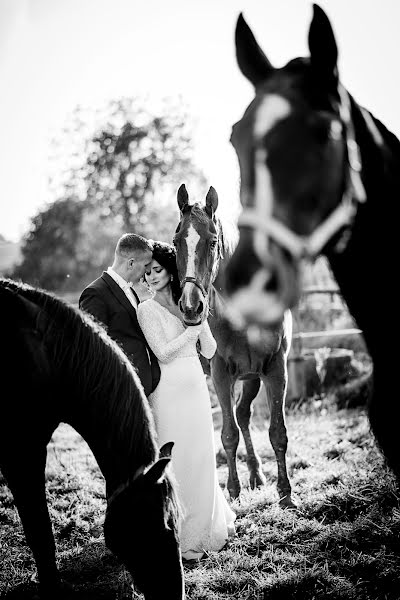 Wedding photographer Magdalena Korzeń (korze). Photo of 1 December 2017