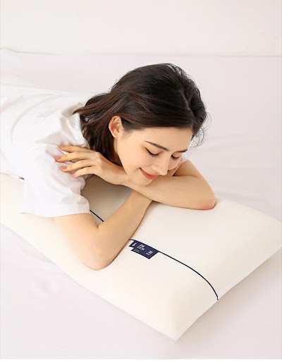 Title 5, Memory Foam Slow Rebound Single Pillow provides...