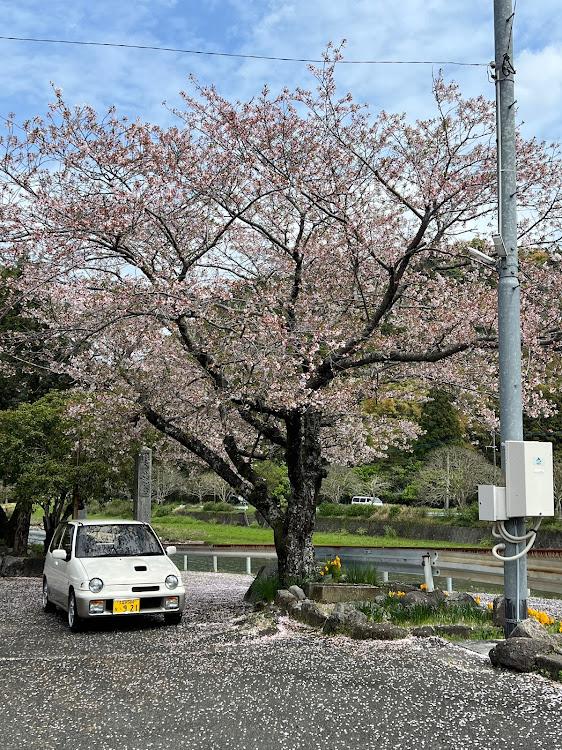 の投稿画像1枚目