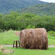 開門見山樹屋咖啡