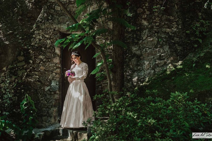 Fotografo di matrimoni Luiz Del Rio (luizdelrio). Foto del 3 gennaio 2017