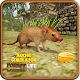 Download Mouse Simulator For PC Windows and Mac 1.0