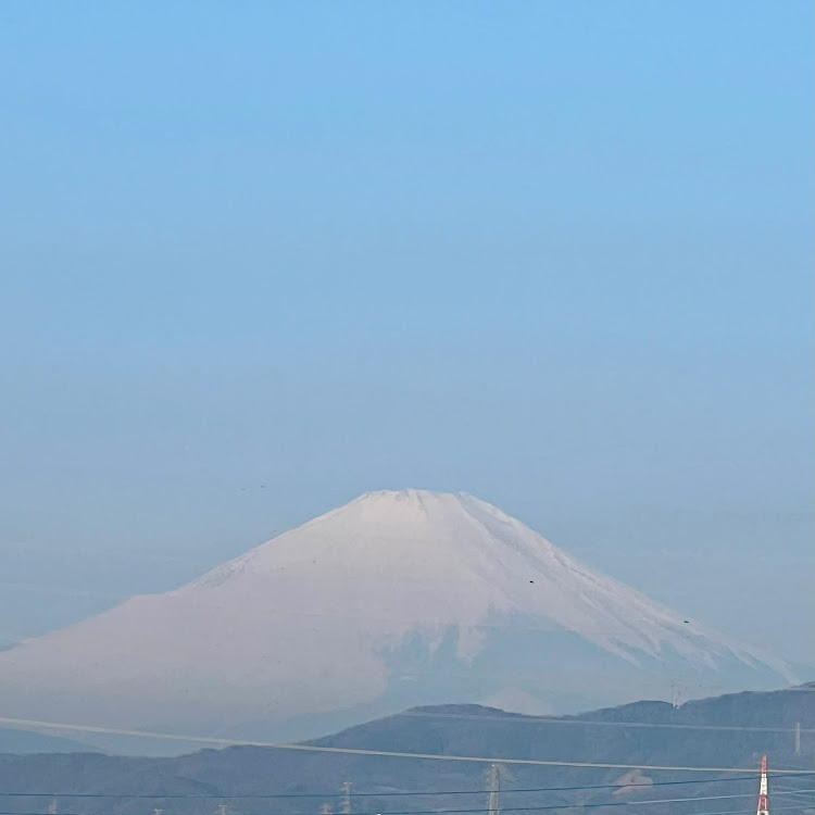 の投稿画像11枚目