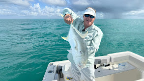 The Charleston Hustle: Charleston, South Carolina thumbnail