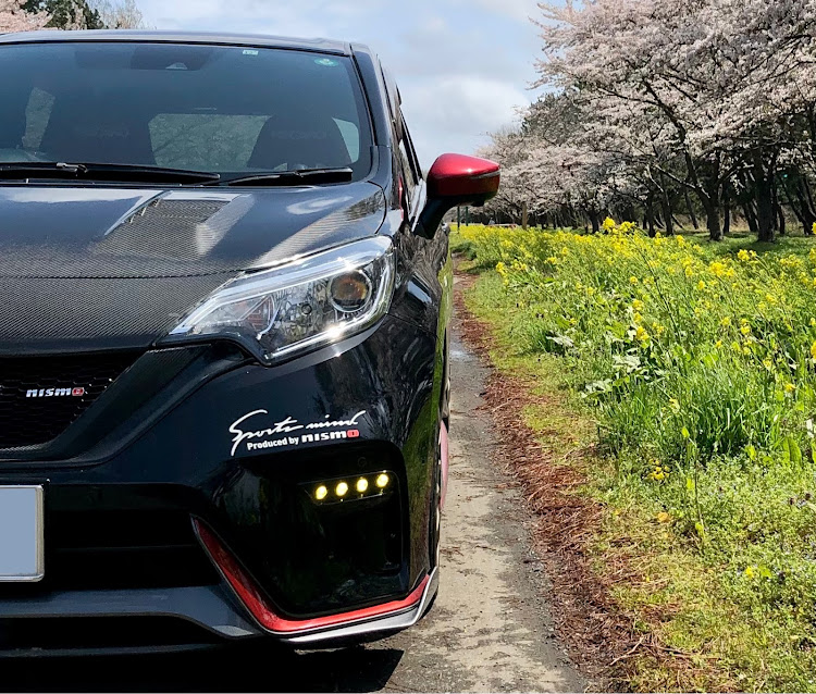 ノートの桜と愛車・桜とコラボ・菜の花ロード・菜の花と愛車・桜と菜の花と愛車に関するカスタム事例の投稿画像4枚目