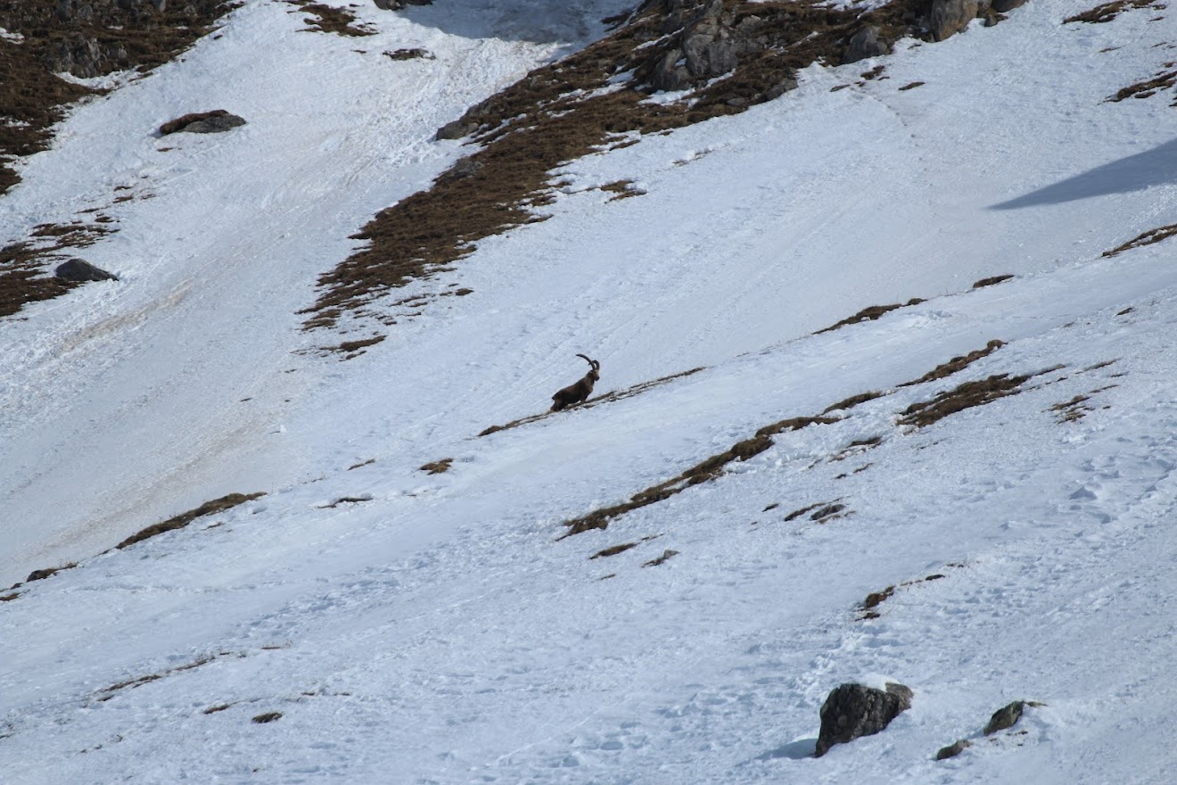 Rando au massif de Cercé ENU6UdPJEst0GQdRrF9MKlXy38B7yBhMlxU-QPoWY_oHuDiURoTxxDQ4tpMe0n7_0v_zR7NBvcJHfD5a0qnIZIHd2cYJX-1N-jst8Zd84JBw3cLlweB_nn_Serjv_esy0W2cB3GcSIi1Wk6qaIxQGzperrSCaskGHVSpuBwG94pyk7V5JawicXYbIy7QkhODQqxYWiyRuFhIjBqAhfgLuPcZbkqZZokLNln-NI2ikgAttoqPNOOYcRg9luNoGl4jwBB4slCZAFkQP8bMvMz0KbuAkW33ouTiFIyG3o3Gb-SoceKvMr7plytS1miWmJwntS2FCGqrO-TFa2NEW5DNN-M84Te4NVNXeCVa68r745P8SrE81uxedUcOKIB7toTNx-JxeGMiy9jrHI8jZBfFfM_82BEFeU9m4z5ZtwU5_a4A4UXOa8Jt5ZdEkg79c6dcUN8KjMDq55Bc6UaYTmDwW3fu3YMg4VEb1F16wAICZP4c4fPlRVcoz1f0JxqJ8oHvXucQs15ms8whoLf9zTmYotLzsdKHkNN8kdvmL6PoXhqWXyNxUsAc7Tnji5QyxJtQAs83_Q=w1320-h880-no