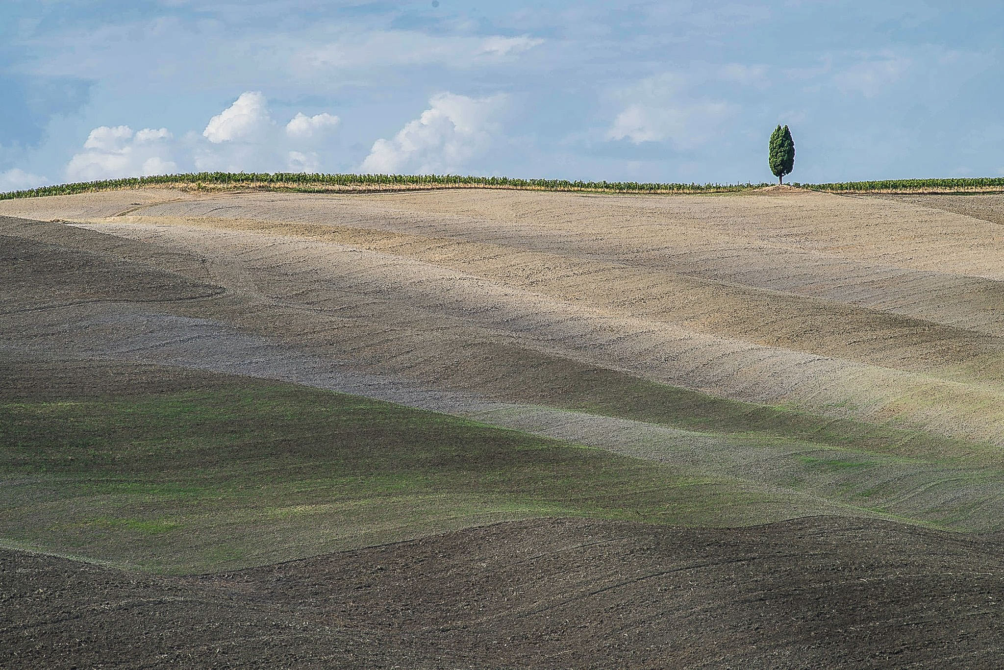 L'ultimo rimasto di sarre 49