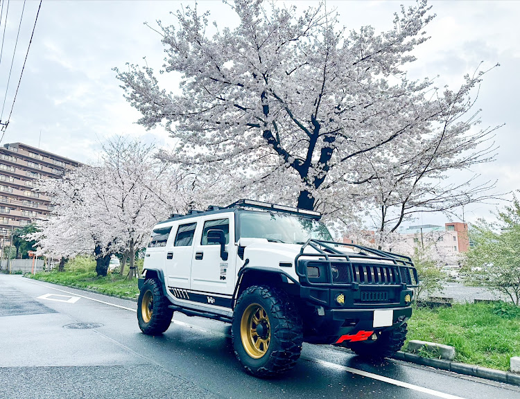 H2の桜とコラボ・サクラと愛車・桜・目指せPickUpCarsに関するカスタム事例の投稿画像1枚目