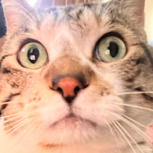 ななせのプロフィール画像