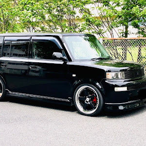 bB NCP30