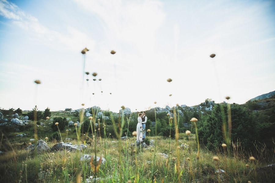 Photographe de mariage Nata Rolyanskaya (natarolianskii). Photo du 25 décembre 2016