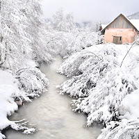 Sesto River di 