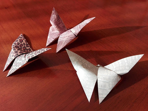 Learn Origami Step by Step Origami Videos