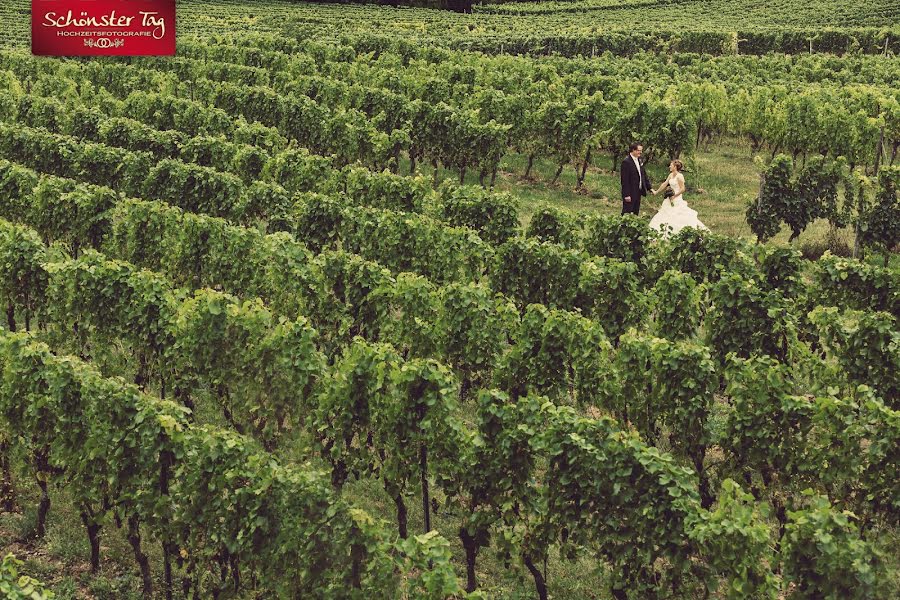 Fotógrafo de casamento Mario Andreya (marioandreya). Foto de 9 de março 2017