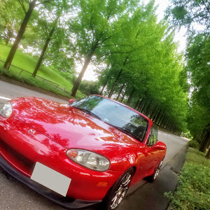 ロードスター NB6C