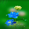 Item logo image for Blue lotus wallpaper