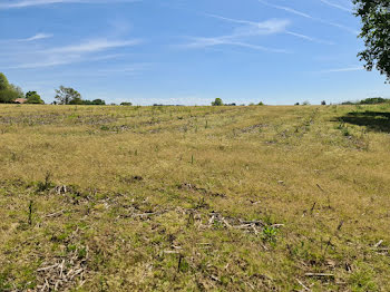 terrain à Sainte-Marie-de-Gosse (40)