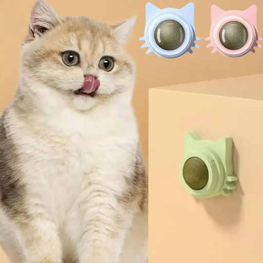 Catnip Balls Funny Lickable Teeth Toy For Small Medium Cats pet supplies Cat Snack Catnip Balls Kitten Playing Chewing 