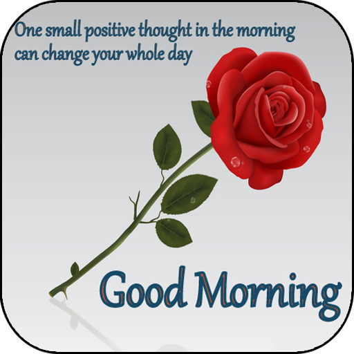 Good Morning Messages And Flower Rose Pictures Gif