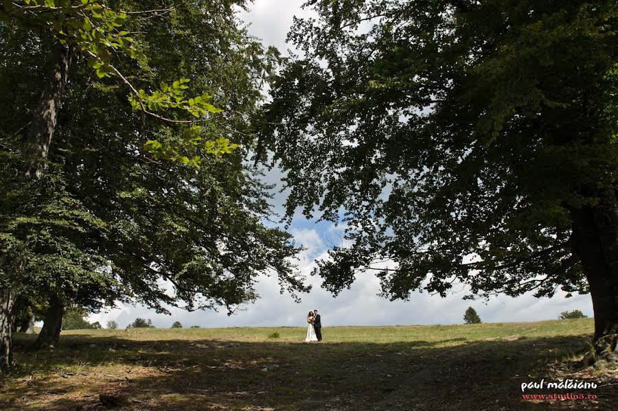 Bryllupsfotograf Paul Malaianu (paulmalaianu). Bilde av 26 august 2015