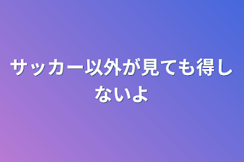 サッカー以外が見ても得しないよ