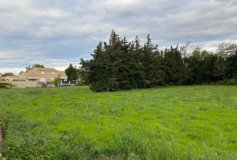  Vente Terrain + Maison - Terrain : 500m² - Maison : 93m² à Lapalud (84840) 