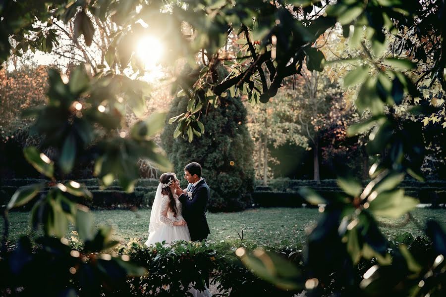 Fotógrafo de bodas Svetlana Gavrilcova (lamijas). Foto del 10 de mayo 2020