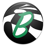 Split Team - Babinha Apk