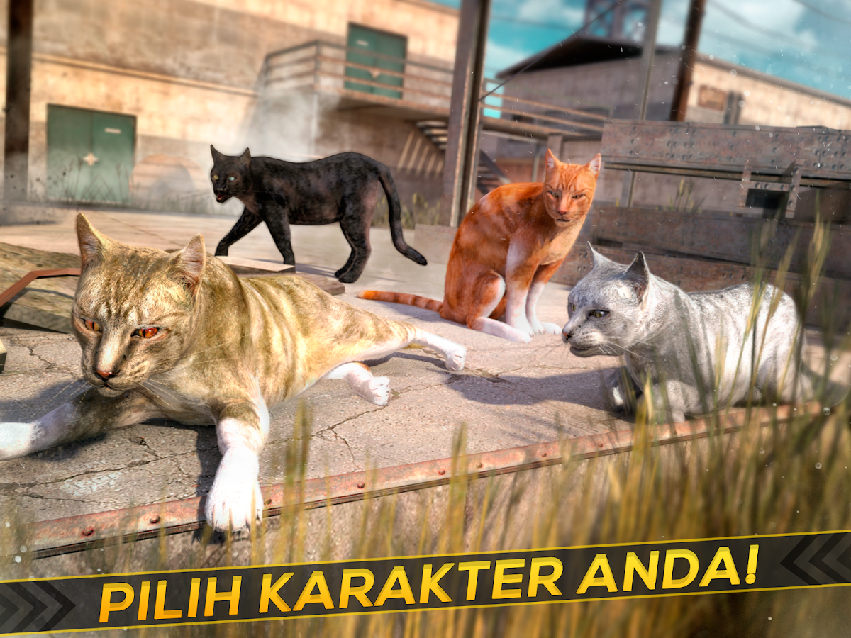 Permainan Gratis Kucing Balap Apl Android Di Google Play