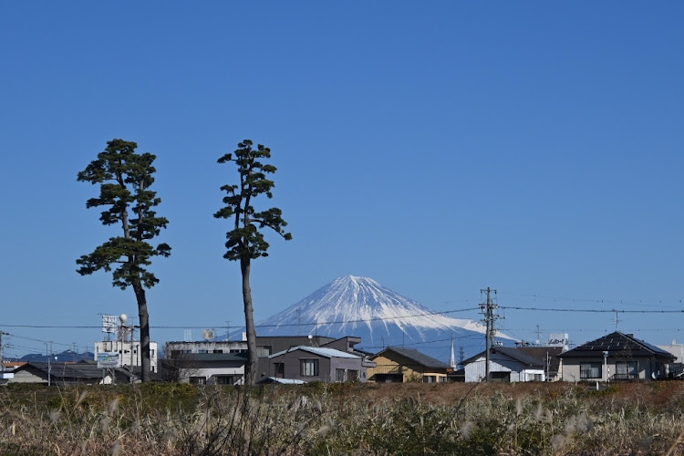 の投稿画像8枚目