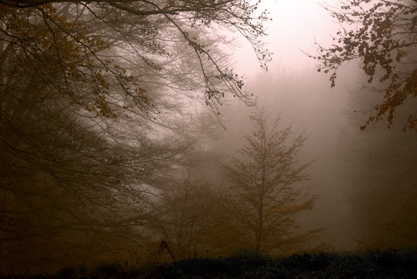 oltre il buio ela nebbia di ruggeri alessandro